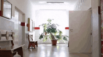 a long hallway with a plant in the middle
