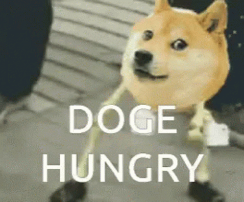 Doge Hungry GIF - Doge Hungry Dance GIFs