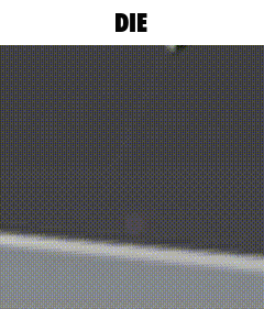 a gray background with the word die at the bottom