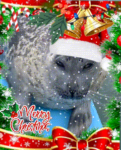 a seal wearing a santa hat is surrounded by christmas decorations and says merry christmas