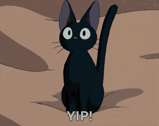 a black cat with big eyes is sitting on a bed .