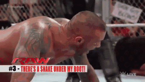 Rollins  GIF - Wwe Wrestling Ouch GIFs