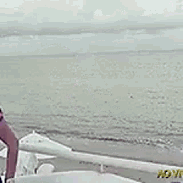 a woman in a pink shirt is standing on the beach near the ocean .