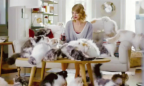 Cats Are Life GIF - Taylor Swift Cats Catlady GIFs