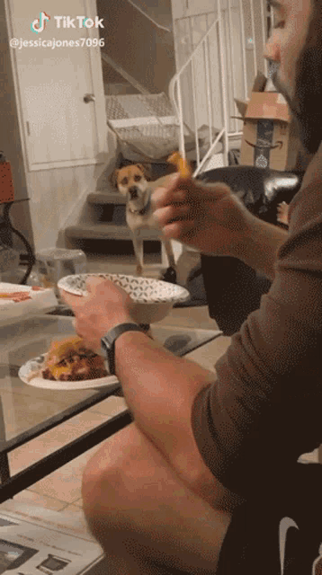 Stare Hungry GIF - Stare Hungry Feed Me GIFs