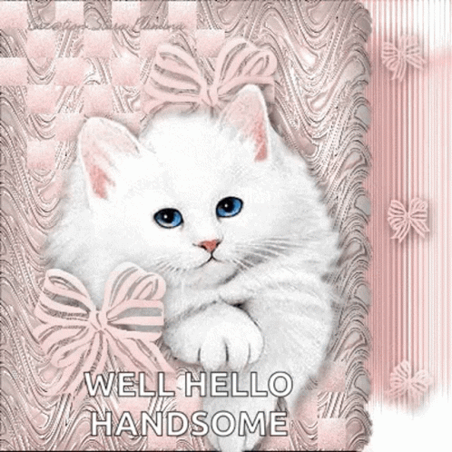 Hello Greeting GIF - Hello Greeting Kittys GIFs
