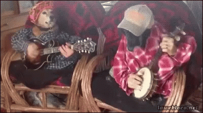 dogs-guitars.gif