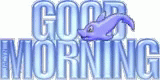 Good Morning Dolphin GIF - Good Morning Dolphin GIFs