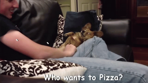 Pizza Dog Dog GIF - Pizza Dog Dog Pizza GIFs