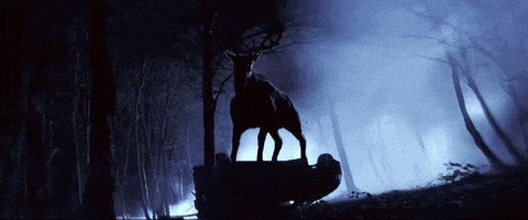 a silhouette of a deer standing on a rock in a foggy forest