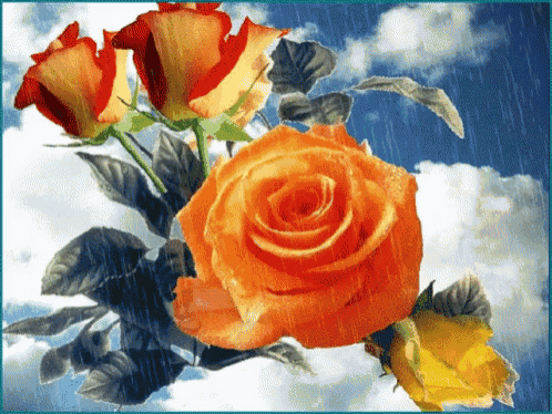 a bunch of orange roses against a cloudy sky