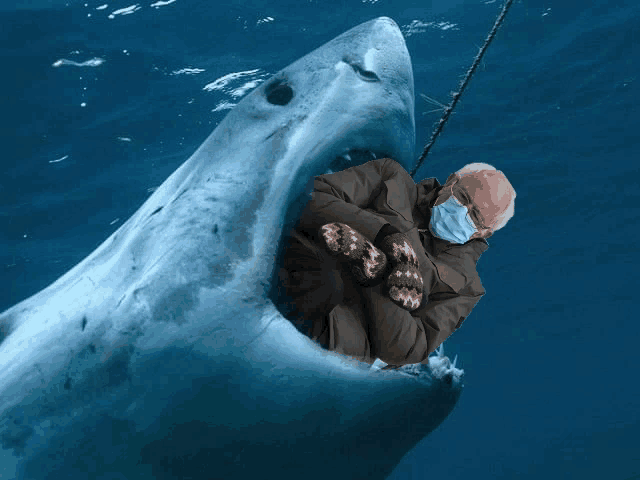a man wearing a mask is being attacked by a large shark