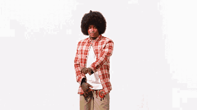 a man with an afro wearing a plaid shirt