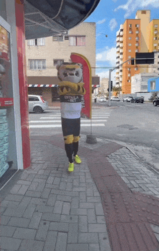 a person in a mascot costume that says estrella on it