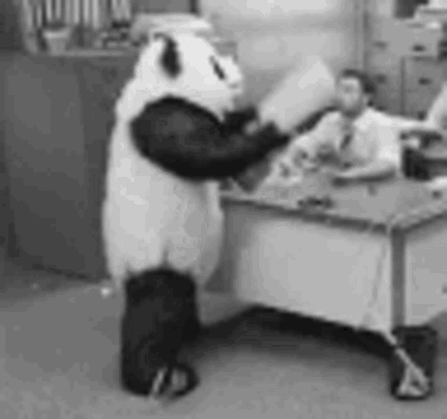 a panda bear is standing next to a desk in an office .