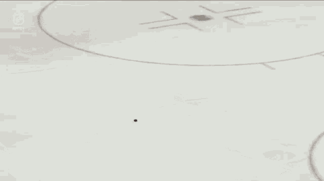 a hockey game is being played in front of an ad for monster energy and honda