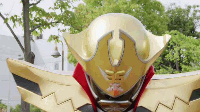 a close up of a gold and red costume