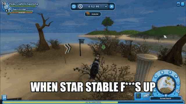 Star Stable Stupid GIF - Star Stable Stupid Glitch GIFs