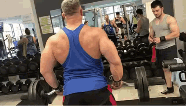 Muscles Bodybuilding GIF - Muscles Bodybuilding Biceps GIFs