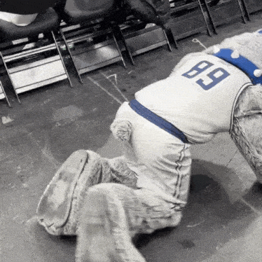 a mascot wearing a number 89 jersey crawls on the floor