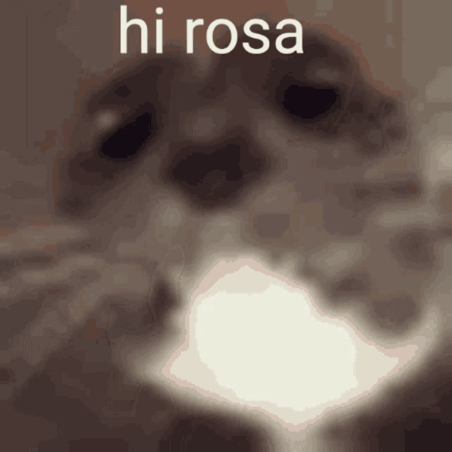 Hi Rosa GIF - Hi Rosa GIFs