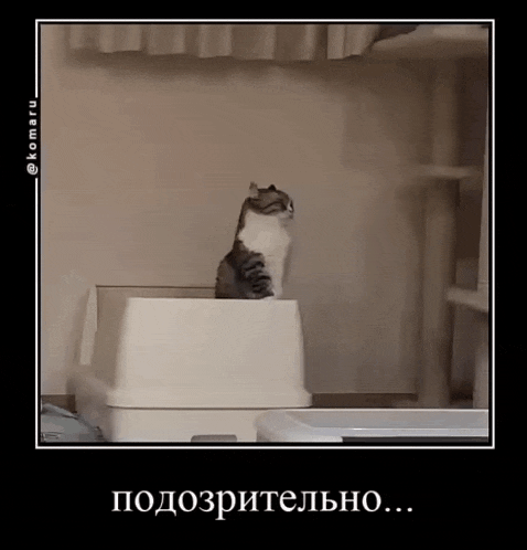 a cat is sitting on top of a litter box in a black and white photo .