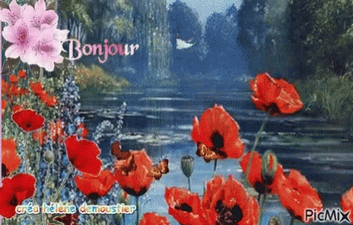 Nature Bonjour GIF - Nature Bonjour Flowers GIFs