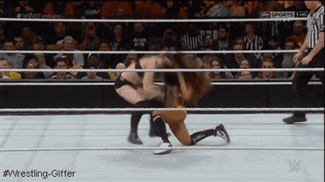 two women are wrestling in a wrestling ring with the words #wrestling_gifter on the bottom