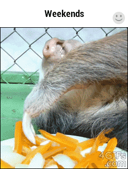 Accurate. GIF - Sloth Tired Weekends GIFs