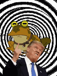 Toad Trump GIF - Toad Trump Hypnotoad GIFs