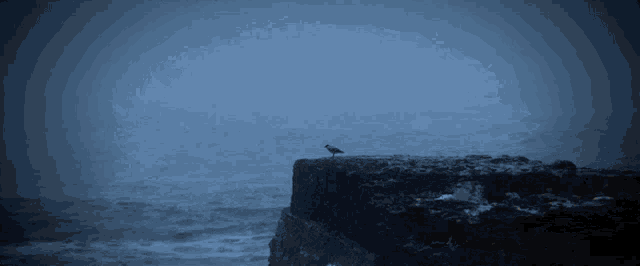 a bird sits on a rock overlooking the ocean