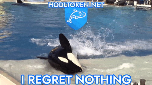 a picture of a whale in a pool with the words i regret nothing