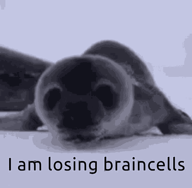 Losing Braincells GIF - Losing Braincells GIFs