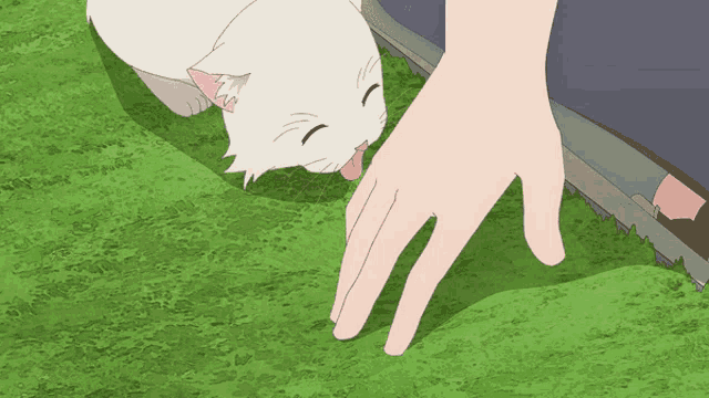 a white cat licking a person 's hand while laying on the grass