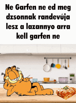 garfield is laying on a kitchen counter with a piece of lasagna on it