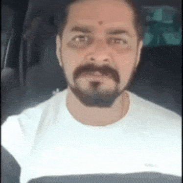 a man with a beard and mustache is sitting in a car .