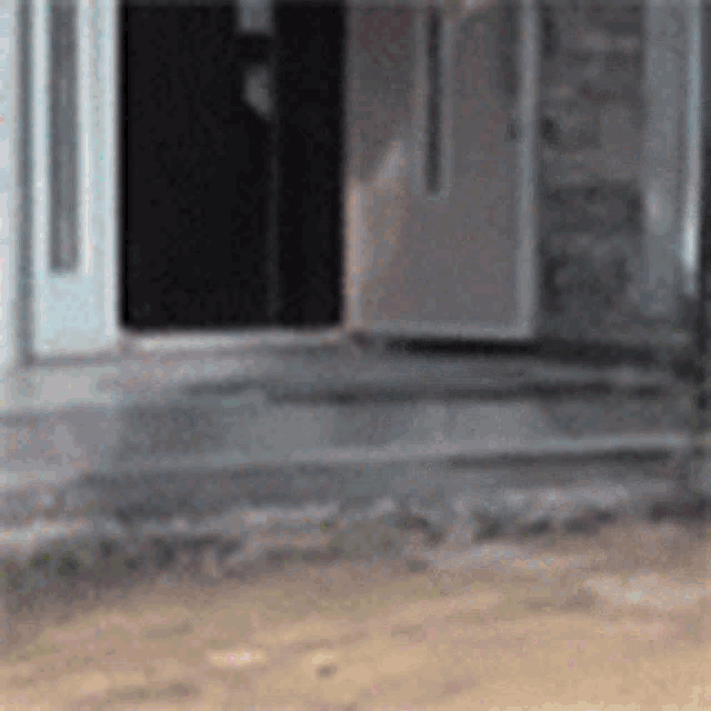 a house with a door that is open and a staircase leading up to it