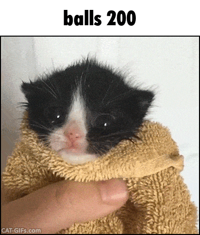 a black and white kitten is wrapped in a towel with the words balls 200 above it