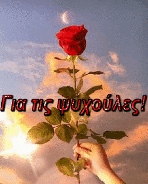 a person holding a red rose with the words " για τισ ψυχούλεσ " written in red