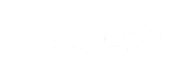 the verlangen finance logo is black and white