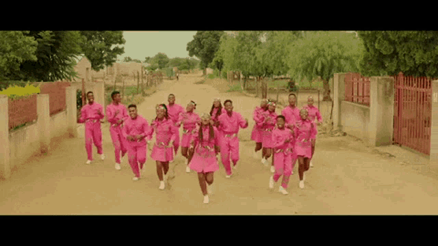 a group of people in pink dresses are dancing on a dirt road .