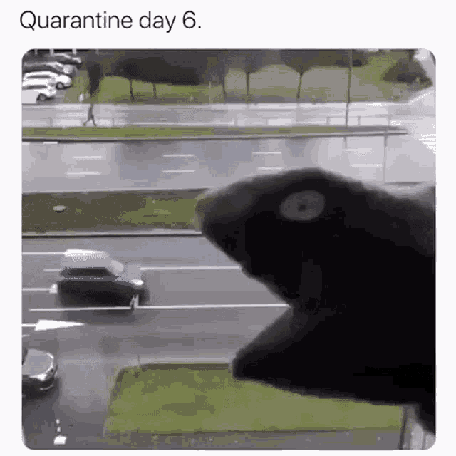 Self Quarantine Traffic GIF - Self Quarantine Traffic Eating Cars GIFs