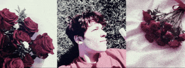 a man in a red shirt is laying in the grass with red roses in the background