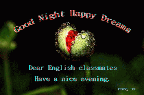 Good Night Happy Dreams GIF - Good Night Happy Dreams Have A Nice Evening GIFs