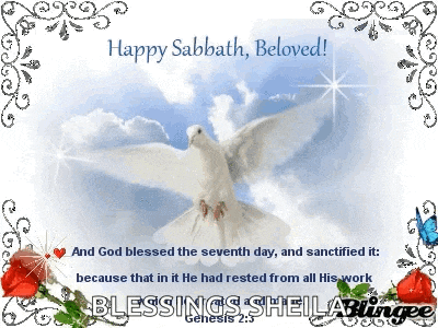 a happy sabbath beloved card with a white dove in the sky