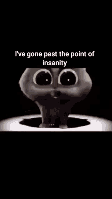 Ive Gone Past The Point Of Insanity Meme GIF - Ive Gone Past The Point Of Insanity Meme Cat GIFs