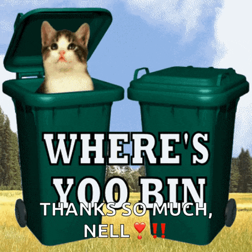 a cat is sticking its head out of a trash can that says where 's yoo bin