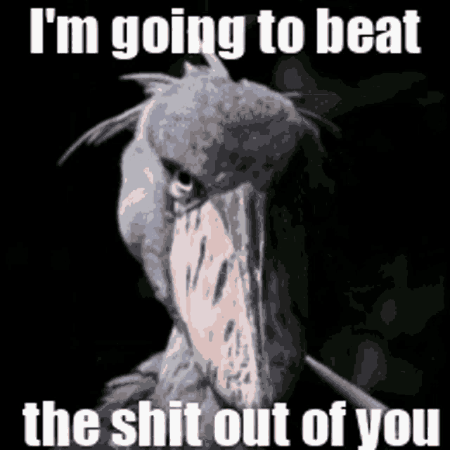 a bird with a large beak is saying i 'm going to beat the shit out of you .