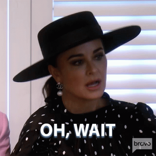 Oh Wait Real Housewives Of Beverly Hills GIF - Oh Wait Real Housewives Of Beverly Hills Hold On GIFs