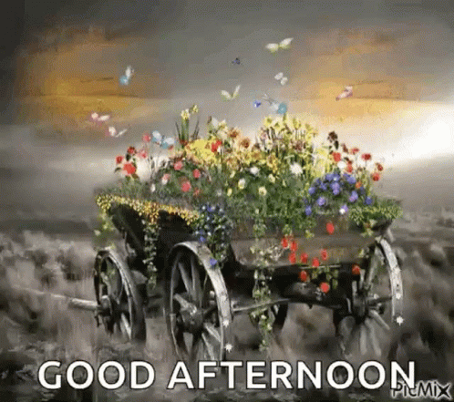 Good Afternoon Greetings GIF - Good Afternoon Greetings Butterflies GIFs